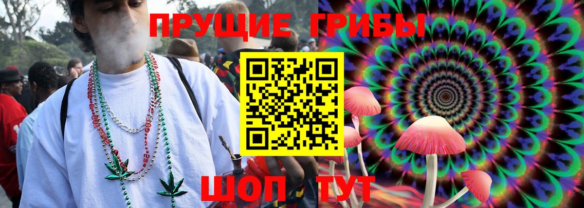 Галлюциногенные грибы Cubensis  Вход с VPN  Менделеевск 