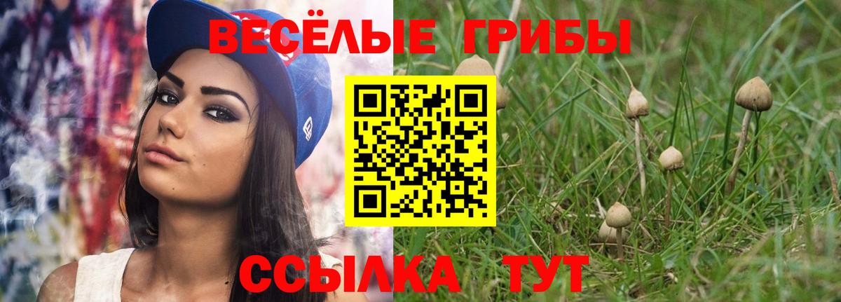 Меф МЯУ МЯУ  Вход с VPN  Менделеевск  Марихуана  MDMA  Меф   ГАШИШ 